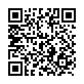 To view this 2015 Lincoln MKS West Columbia SC from B&L Auto Sales, please scan this QR code with your smartphone or tablet to view the mobile version of this page.