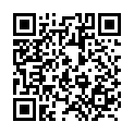 To view this 2015 Nissan Quest West Columbia SC from B&L Auto Sales, please scan this QR code with your smartphone or tablet to view the mobile version of this page.