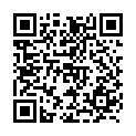 To view this 2013 BMW 7-Series West Columbia SC from B&L Auto Sales, please scan this QR code with your smartphone or tablet to view the mobile version of this page.