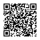 To view this 2009 Chrysler Town  and  Country West Columbia SC from B&L Auto Sales, please scan this QR code with your smartphone or tablet to view the mobile version of this page.