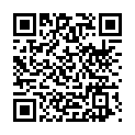 To view this 2014 BMW 3-Series West Columbia SC from B&L Auto Sales, please scan this QR code with your smartphone or tablet to view the mobile version of this page.