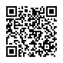 To view this 2016 BMW 3-Series West Columbia SC from B&L Auto Sales, please scan this QR code with your smartphone or tablet to view the mobile version of this page.