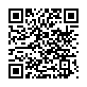 To view this 2014 Ford C-MAX West Columbia SC from B&L Auto Sales, please scan this QR code with your smartphone or tablet to view the mobile version of this page.