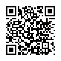 To view this 2015 Lincoln Navigator West Columbia SC from B&L Auto Sales, please scan this QR code with your smartphone or tablet to view the mobile version of this page.
