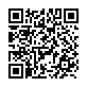 To view this 2011 Ford E250 Vans West Columbia SC from B&L Auto Sales, please scan this QR code with your smartphone or tablet to view the mobile version of this page.