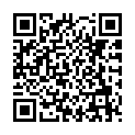 To view this 2015 Audi A4 West Columbia SC from B&L Auto Sales, please scan this QR code with your smartphone or tablet to view the mobile version of this page.