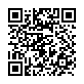 To view this 2012 Ford Transit Connect West Columbia SC from B&L Auto Sales, please scan this QR code with your smartphone or tablet to view the mobile version of this page.