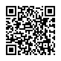 To view this 2016 Kia Soul West Columbia SC from B&L Auto Sales, please scan this QR code with your smartphone or tablet to view the mobile version of this page.