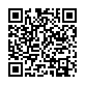 To view this 2010 Dodge Grand Caravan West Columbia SC from B&L Auto Sales, please scan this QR code with your smartphone or tablet to view the mobile version of this page.