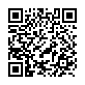 To view this 2016 Ford F150 West Columbia SC from B&L Auto Sales, please scan this QR code with your smartphone or tablet to view the mobile version of this page.