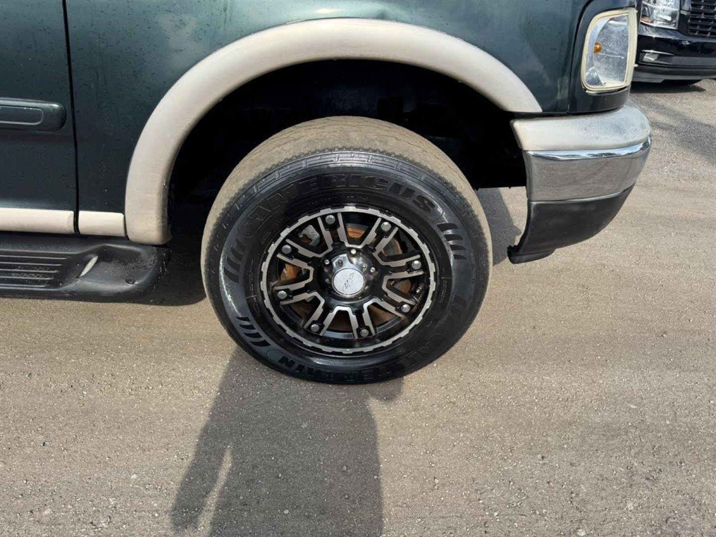 1999 Green /Tan Ford Expedition Eddie Bauer 4WD (1FMPU18L9XL) with an 5.4l V8 EFI Sohc 5.4l engine, Automatic transmission, located at 745 East Steele Rd., West Columbia, SC, 29170, (803) 755-9148, 33.927212, -81.148483 - Special Internet Price! 1999 Ford Expedition - Photo#28