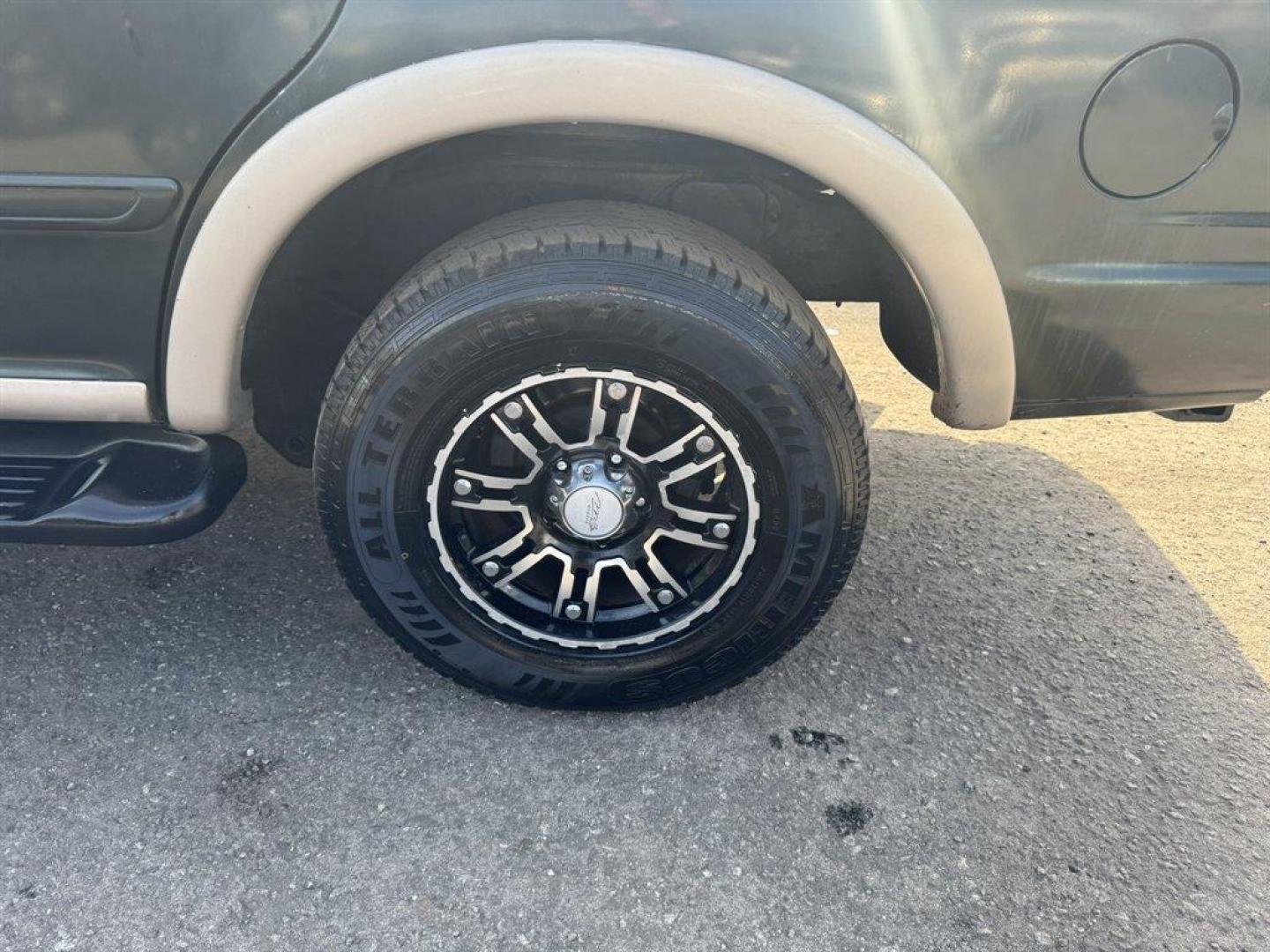 1999 Green /Tan Ford Expedition Eddie Bauer 4WD (1FMPU18L9XL) with an 5.4l V8 EFI Sohc 5.4l engine, Automatic transmission, located at 745 East Steele Rd., West Columbia, SC, 29170, (803) 755-9148, 33.927212, -81.148483 - Special Internet Price! 1999 Ford Expedition - Photo#30