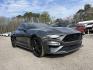 2019 Grey /Black Ford Mustang (1FA6P8CF3K5) with an 5.0l V8 SFI 5.0l engine, Automatic transmission, located at 745 East Steele Rd., West Columbia, SC, 29170, (803) 755-9148, 33.927212, -81.148483 - Special Internet Price! 2019 Ford Mustang GT with backup camera, navigation, powered front seats, black cloth seats, plus more! - Photo #4