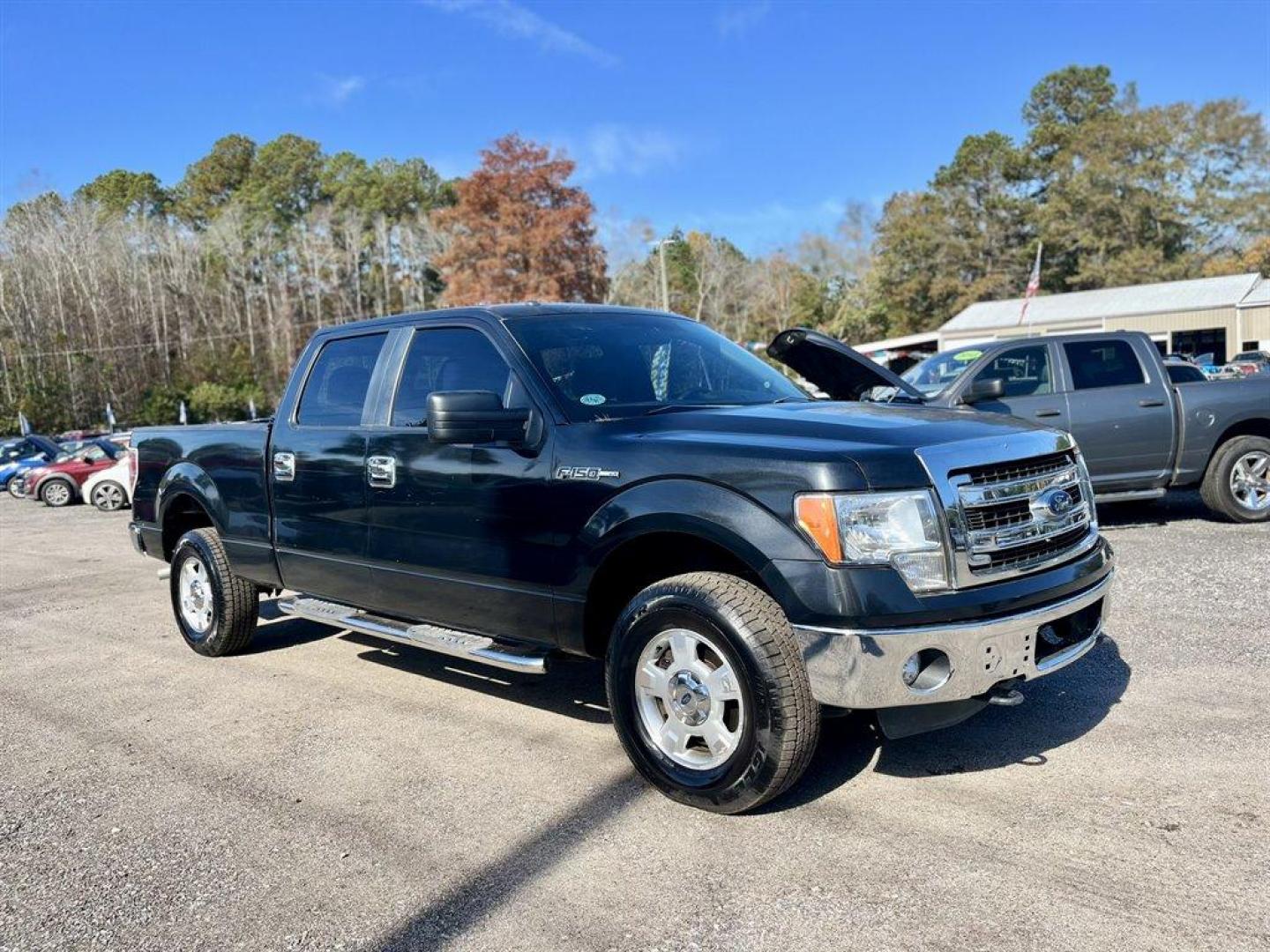 2014 Black /Grey Ford F150 (1FTFW1EF3EF) with an 5.0l V8 Smpi Dohc Flex 5. engine, Automatic transmission, located at 745 East Steele Rd., West Columbia, SC, 29170, (803) 755-9148, 33.927212, -81.148483 - Special Internet Price! 2014 Ford F150 XLT With AM/FM Stereo, Cruise Control, Manual Air Conditioning, Remote Keyless Entry, Cloth Interior, 40/20/40 Front Seat, 60-40 Folding Split-Bench Front Facing Fold-Up Cushion Rear Seat, Powered Windows, Powered Door Locks, Plus More! - Photo#3