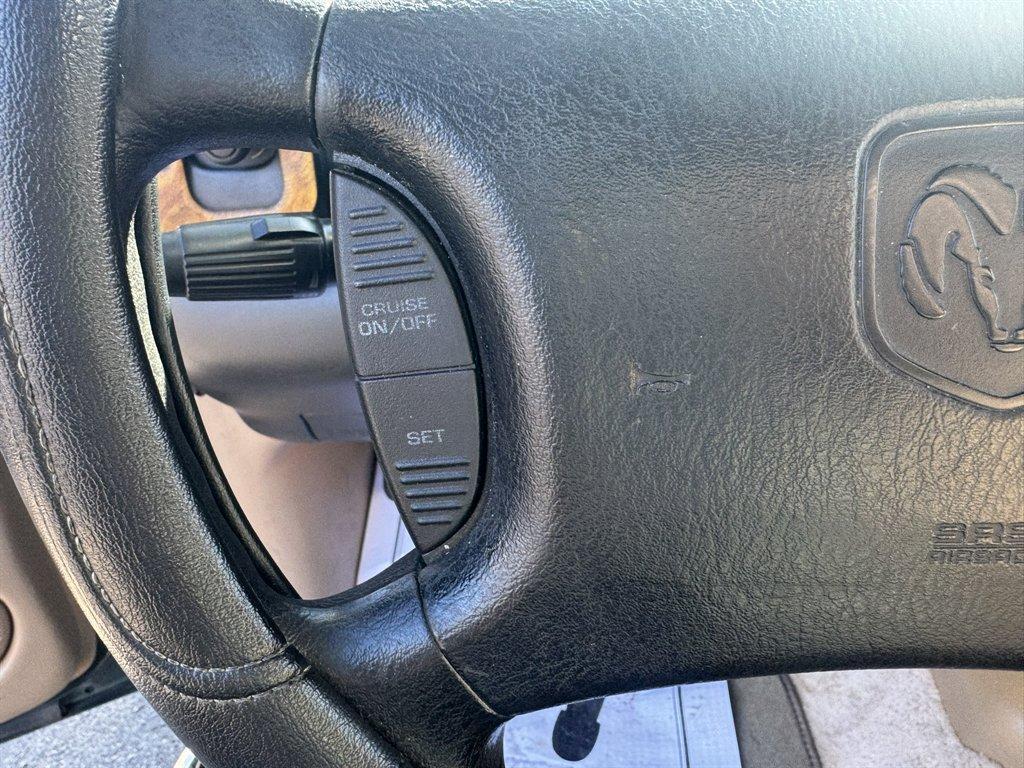 1997 Green /Tan Dodge Dakota (1B7GG23Y1VS) with an 5.2l V8 MPI 5.2l engine, Manual transmission, located at 745 East Steele Rd., West Columbia, SC, 29170, (803) 755-9148, 33.927212, -81.148483 - Photo#9