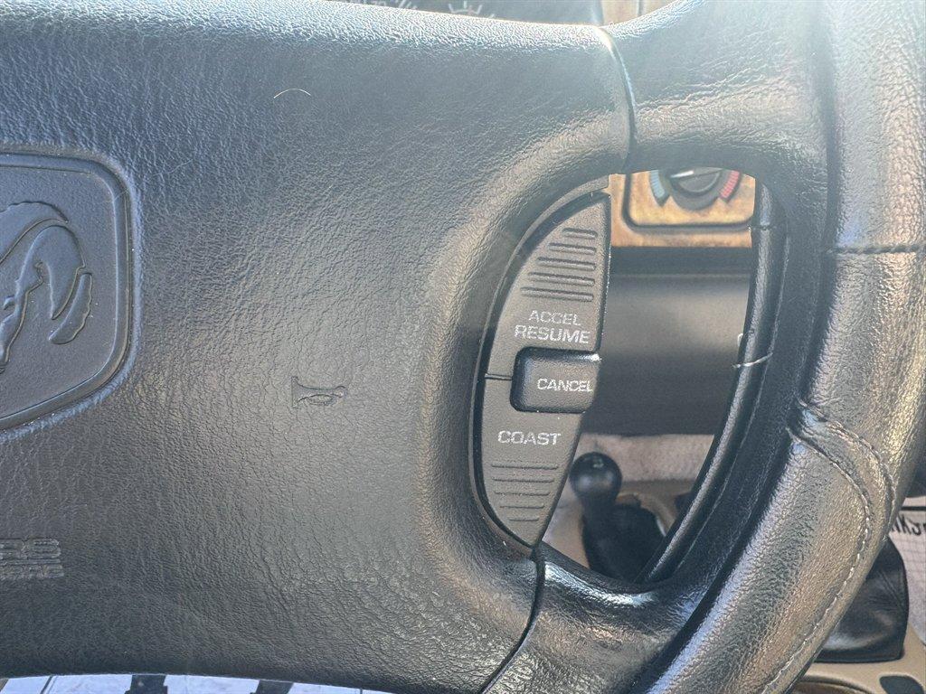 1997 Green /Tan Dodge Dakota (1B7GG23Y1VS) with an 5.2l V8 MPI 5.2l engine, Manual transmission, located at 745 East Steele Rd., West Columbia, SC, 29170, (803) 755-9148, 33.927212, -81.148483 - Photo#10