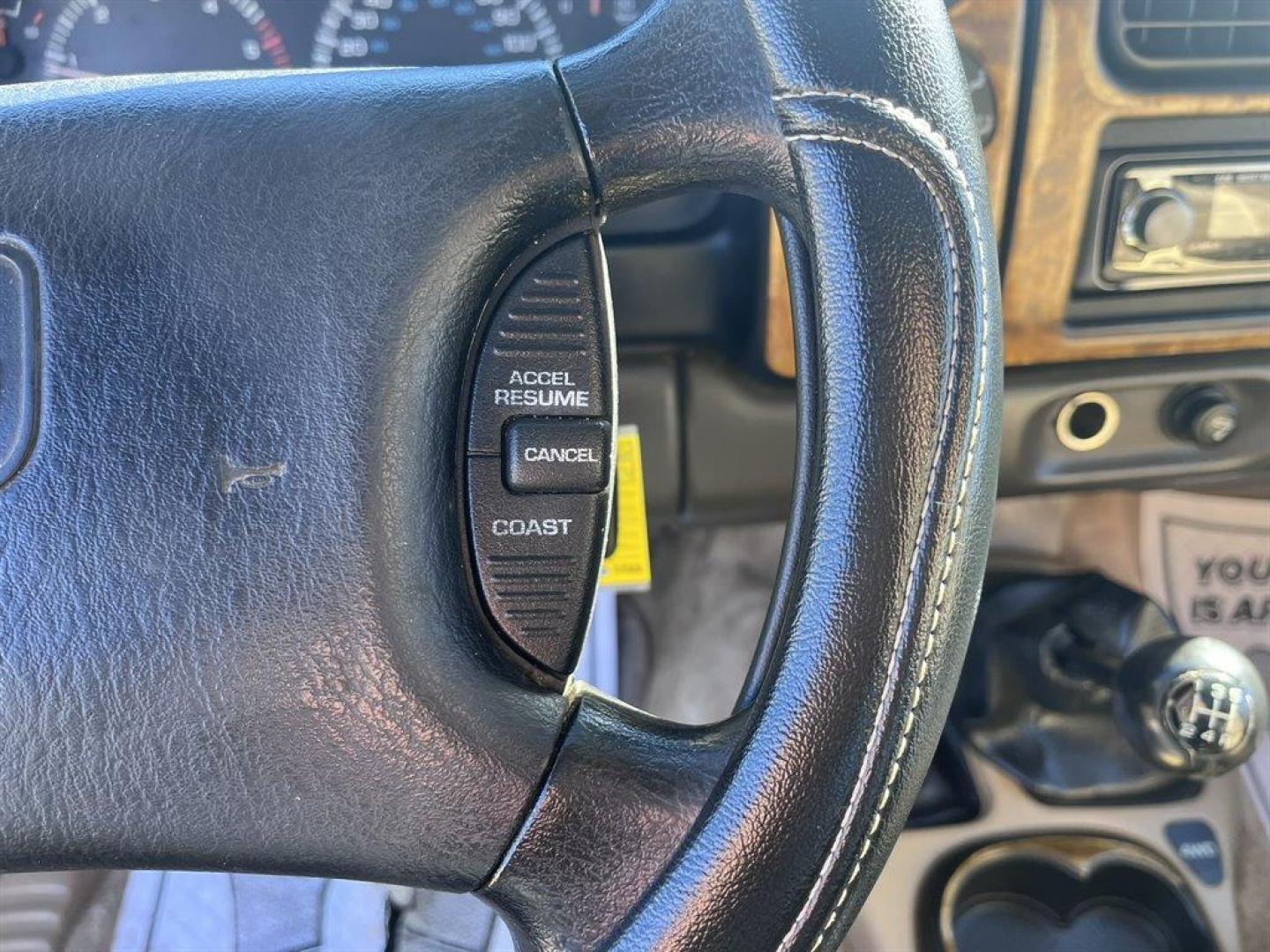 1997 Green /Tan Dodge Dakota (1B7GG23Y1VS) with an 5.2l V8 MPI 5.2l engine, Manual transmission, located at 745 East Steele Rd., West Columbia, SC, 29170, (803) 755-9148, 33.927212, -81.148483 - Special Internet Price! 1997 Dodge Dakota SLT with AM/FM stereo radio, Manual transmission, Sunroof, Cruise control, Powered windows, Powered door locks, Leather interior, Seats up to 5, Plus more! - Photo#7