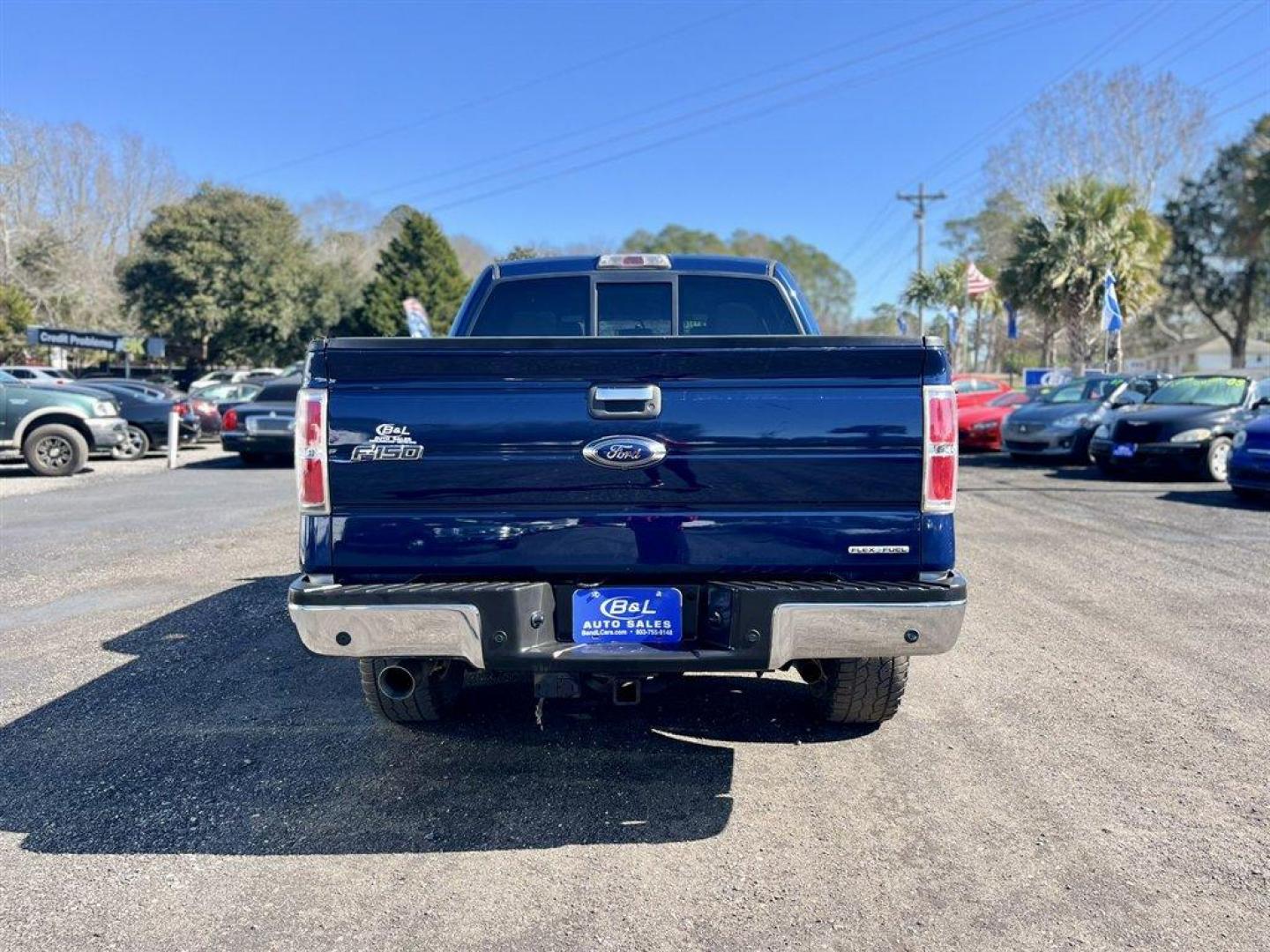 2012 Blue /Grey Ford F150 (1FTFW1CF7CF) with an 5.0l V8 Smpi Dohc Flex 5. engine, Automatic transmission, located at 745 East Steele Rd., West Columbia, SC, 29170, (803) 755-9148, 33.927212, -81.148483 - Special Internet Price! 2012 Ford F150 with AM/FM radio, Bluetooth, Cruise control, Keyless entry, Cloth interior, Seats up to 6, Powered windows, Powered door locks, Plus more! - Photo#4