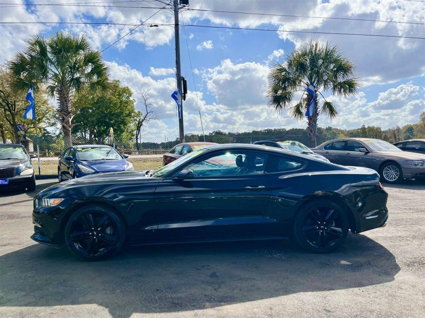 2015 Black /Black Ford Mustang (1FA6P8TH1F5) with an 2.3l I-4 DI Dohc Ecoboost engine, Manual transmission, located at 745 East Steele Rd., West Columbia, SC, 29170, (803) 755-9148, 33.927212, -81.148483 - Special Internet Price! 2015 Ford Mustang With AM/FM Stereo, 2 LCD Monitors In The Front, Manual Air Conditioning, Remote Keyless Entry, Front Bucket Seats, Leather Interior, Manual Transmission, Powered Windows, Powered Door Locks, Plus More! - Photo#1