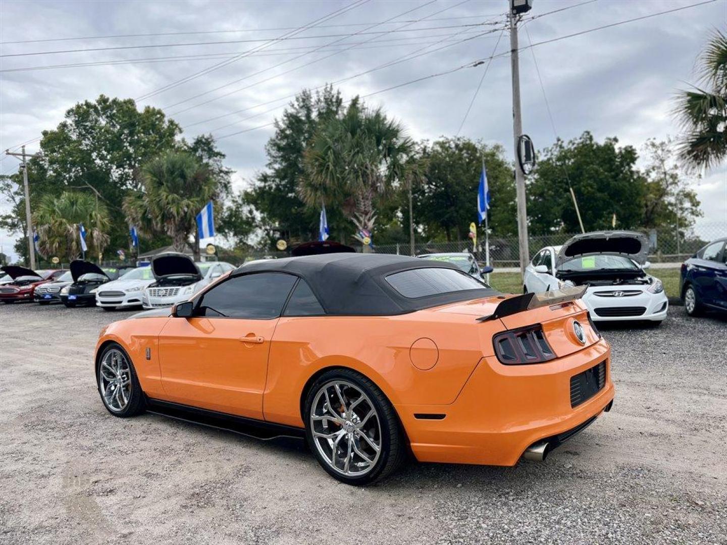 2013 Orange /Black Ford Mustang (1ZVBP8FF6D5) with an 5.0l V8 SFI 5.0l engine, Automatic transmission, located at 745 East Steele Rd., West Columbia, SC, 29170, (803) 755-9148, 33.927212, -81.148483 - Special Internet Price! 2013 Ford Mustang with AM/FM radio, Cruise control, Manual air conditioning, Aftermarket front bucket seats, Powered windows, Powered door locks, Plus more! - Photo#2