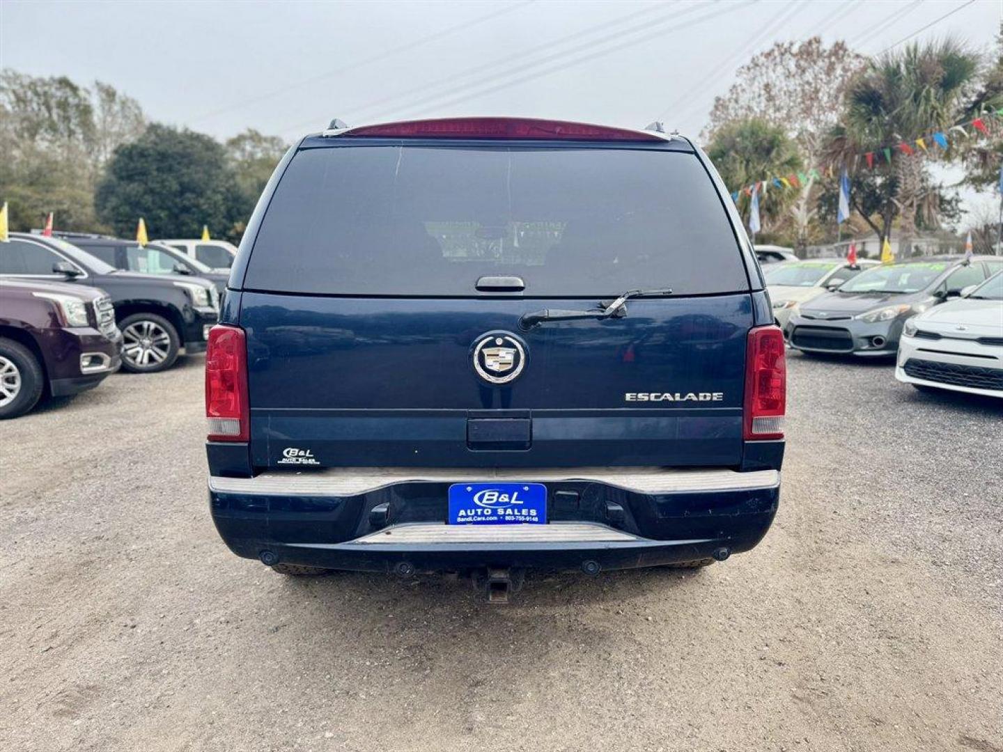 2005 Blue /Grey Cadillac Escalade (1GYEK63N45R) with an 6.0l V8 SFI 6.0l engine, Automatic transmission, located at 745 East Steele Rd., West Columbia, SC, 29170, (803) 755-9148, 33.927212, -81.148483 - Photo#4