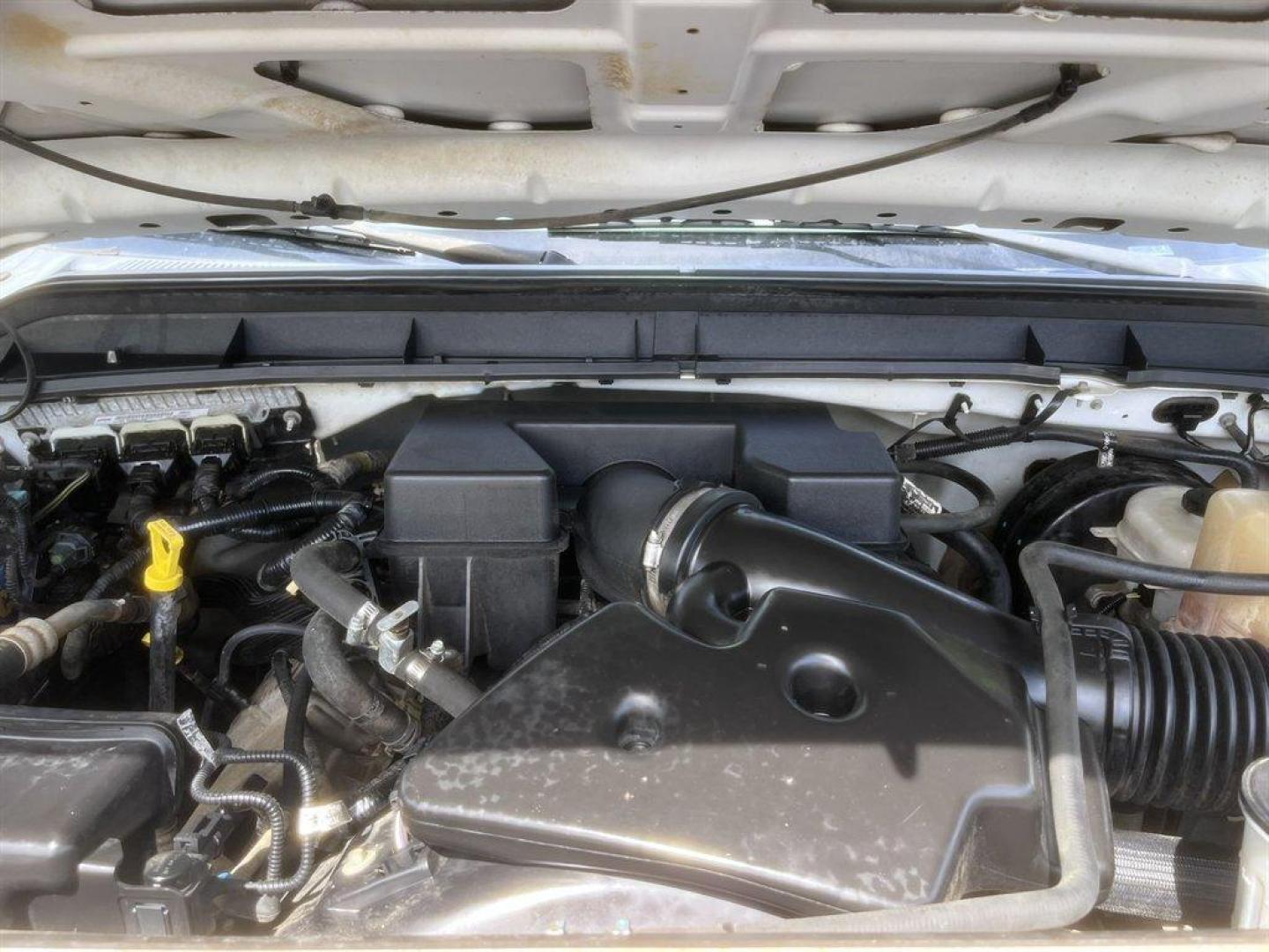 2011 White /Grey Ford F250sd (1FTBF2B65BE) with an 6.2l V8 EFI Sohc Flex 6.2 engine, Automatic transmission, located at 745 East Steele Rd., West Columbia, SC, 29170, (803) 755-9148, 33.927212, -81.148483 - Special Internet Price! 2011 Ford F250SD - Photo#18