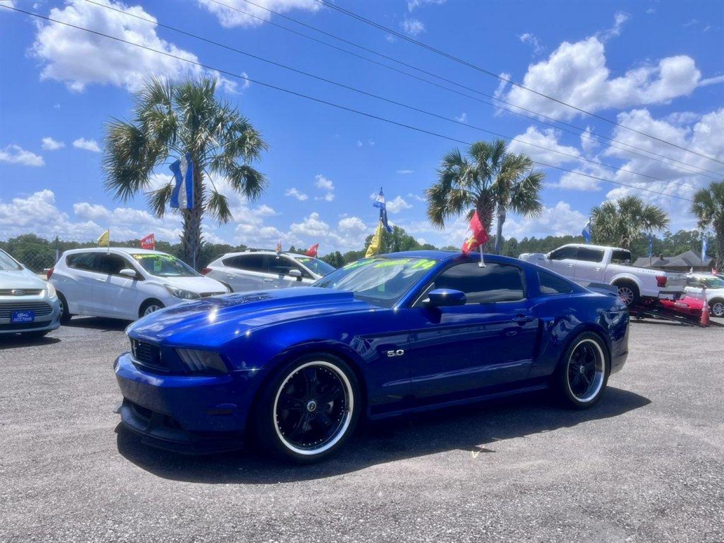 2014 Blue /Black Ford Mustang (1ZVBP8CF1E5) with an 5.0l V8 SFI 5.0l engine, Automatic transmission, located at 745 East Steele Rd., West Columbia, SC, 29170, (803) 755-9148, 33.927212, -81.148483 - Special Internet Price! 2014 Ford Mustang with AM/FM radio, Cruise control, Cloth interior, Powered windows, Powered door locks, Plus more! - Photo#0