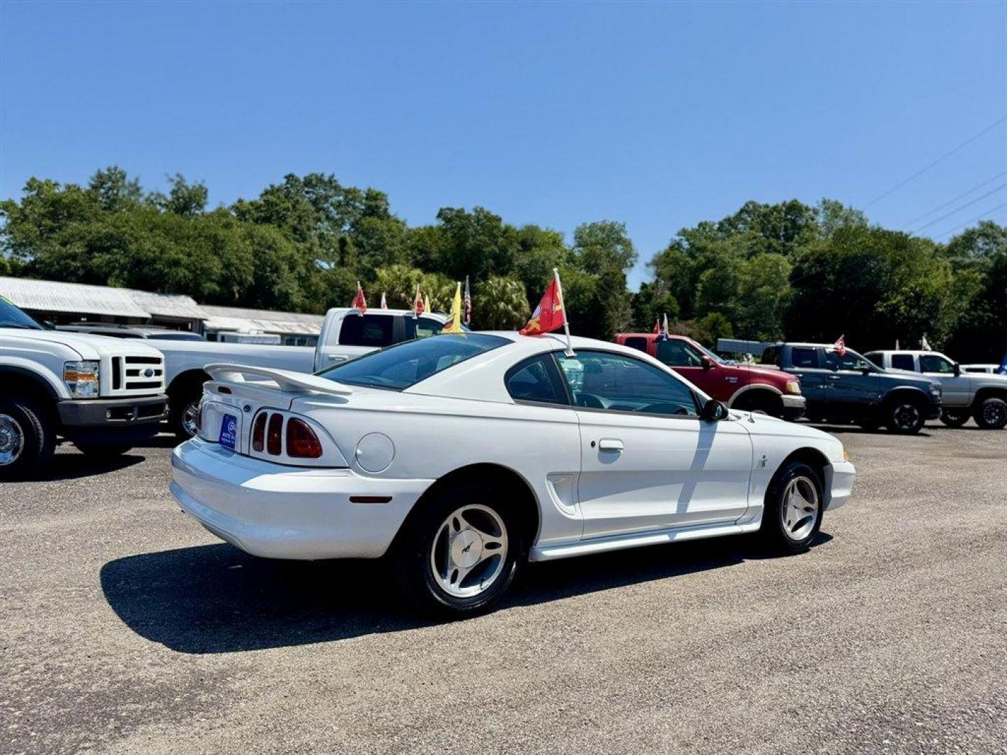 1998 White /Grey Ford Mustang (1FAFP404AWF) with an 3.8l V6 SFI 3.8l engine, Manual transmission, located at 745 East Steele Rd., West Columbia, SC, 29170, (803) 755-9148, 33.927212, -81.148483 - Special Internet Price! 1998 Ford Mustang - Photo#3