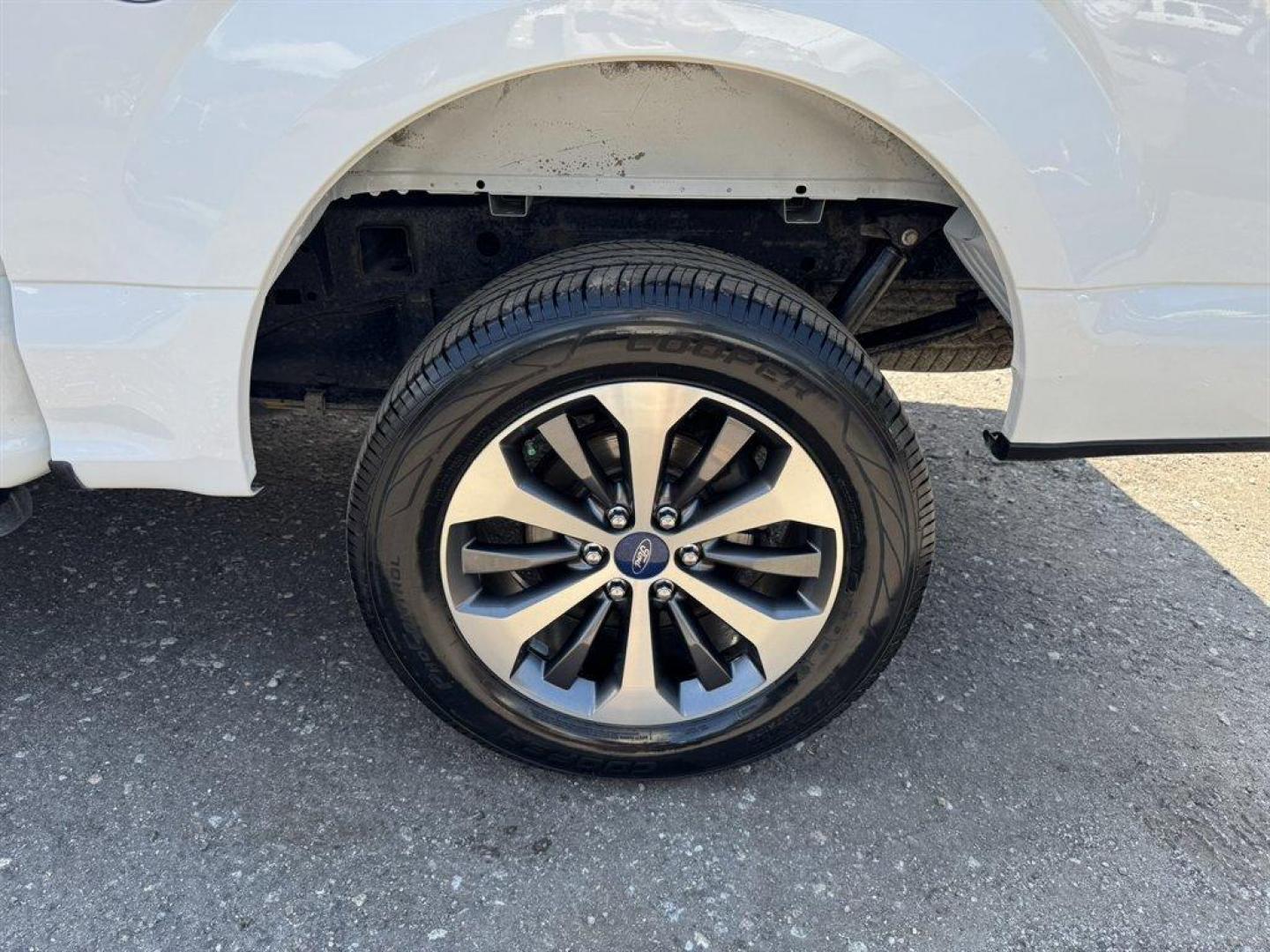 2019 White /Black Ford F150 (1FTEW1EP9KF) with an 2.7l V6 DI T/C Ecoboost 2 engine, Automatic transmission, located at 745 East Steele Rd., West Columbia, SC, 29170, (803) 755-9148, 33.927212, -81.148483 - Special Internet Price! 2019 Ford F150 STX Package - Photo#33