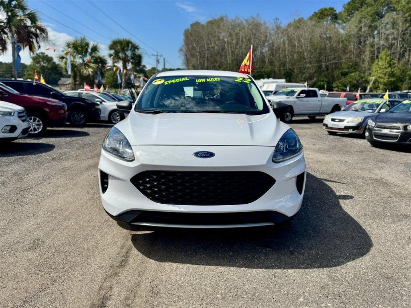 2022 White /Grey Ford Escape (1FMCU0F66NU) with an 1.5l I-4 DI Dohc Ecoboost engine, Automatic transmission, located at 745 East Steele Rd., West Columbia, SC, 29170, (803) 755-9148, 33.927212, -81.148483 - Special Internet Price! 2022 Ford Escape - Photo#1