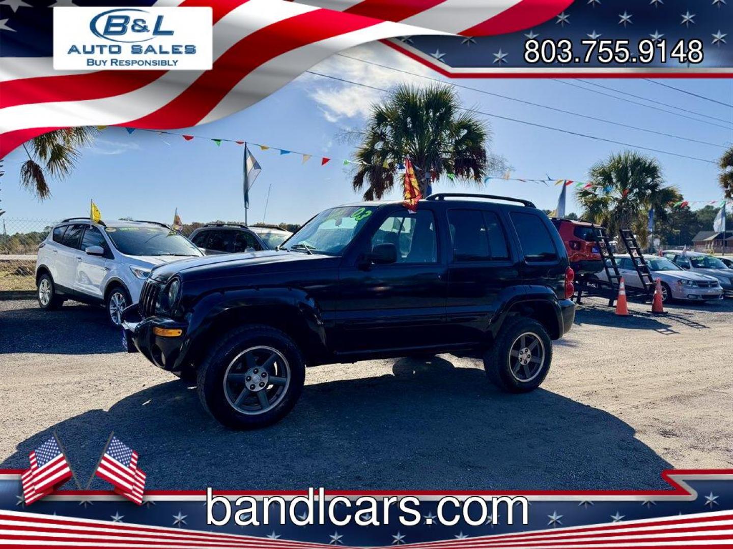 2003 Black /Black Jeep Liberty (1J4GL48K83W) with an 3.7l V6 MPI 3.7l engine, Automatic transmission, located at 745 East Steele Rd., West Columbia, SC, 29170, (803) 755-9148, 33.927212, -81.148483 - Special Internet Price! 2003 Jeep Liberty - Photo#0