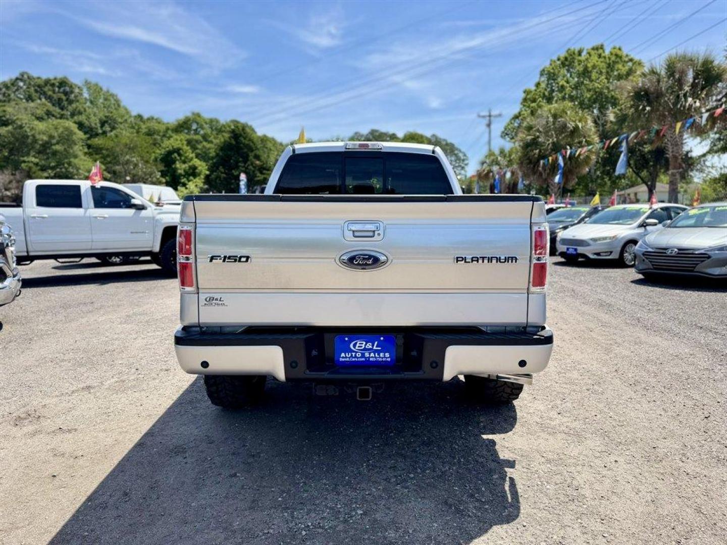 2014 Silver /Black Ford F150 (1FTFW1ET4EF) with an 3.5l V6 DI T/C Ecoboost 3 engine, Automatic transmission, located at 745 East Steele Rd., West Columbia, SC, 29170, (803) 755-9148, 33.927212, -81.148483 - Photo#4