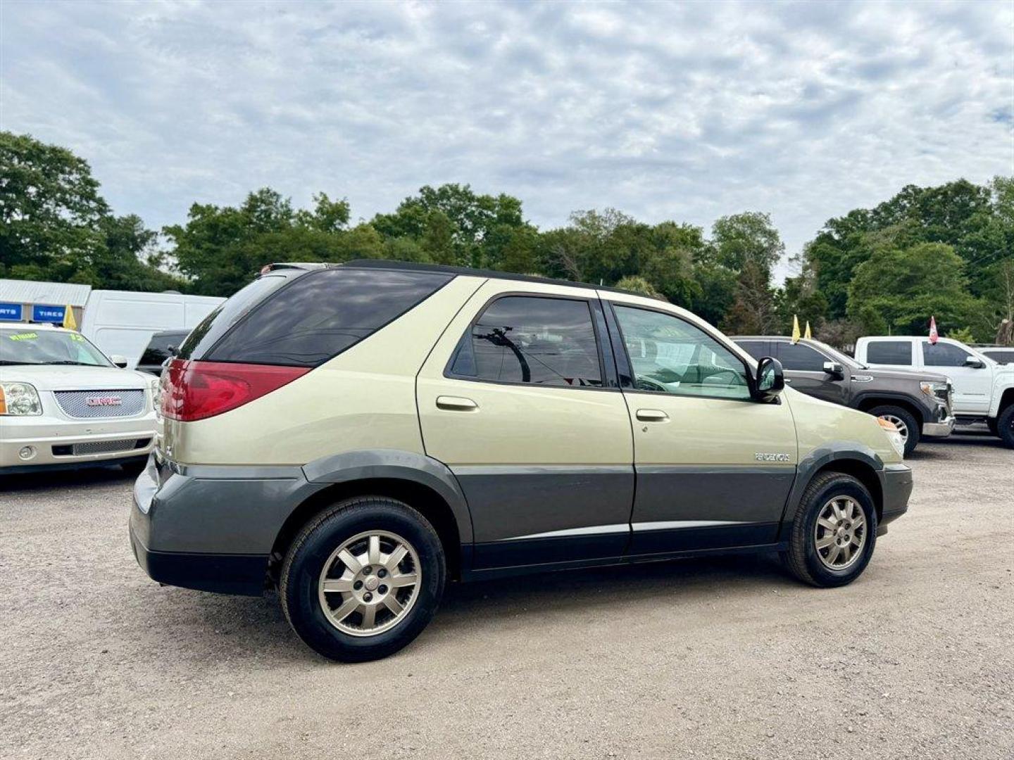 2003 Gold /Taupe Buick Rendezvous (3G5DA03E83S) with an 3.4l V6 MFI 3.4l engine, Automatic transmission, located at 745 East Steele Rd., West Columbia, SC, 29170, (803) 755-9148, 33.927212, -81.148483- Photo#3