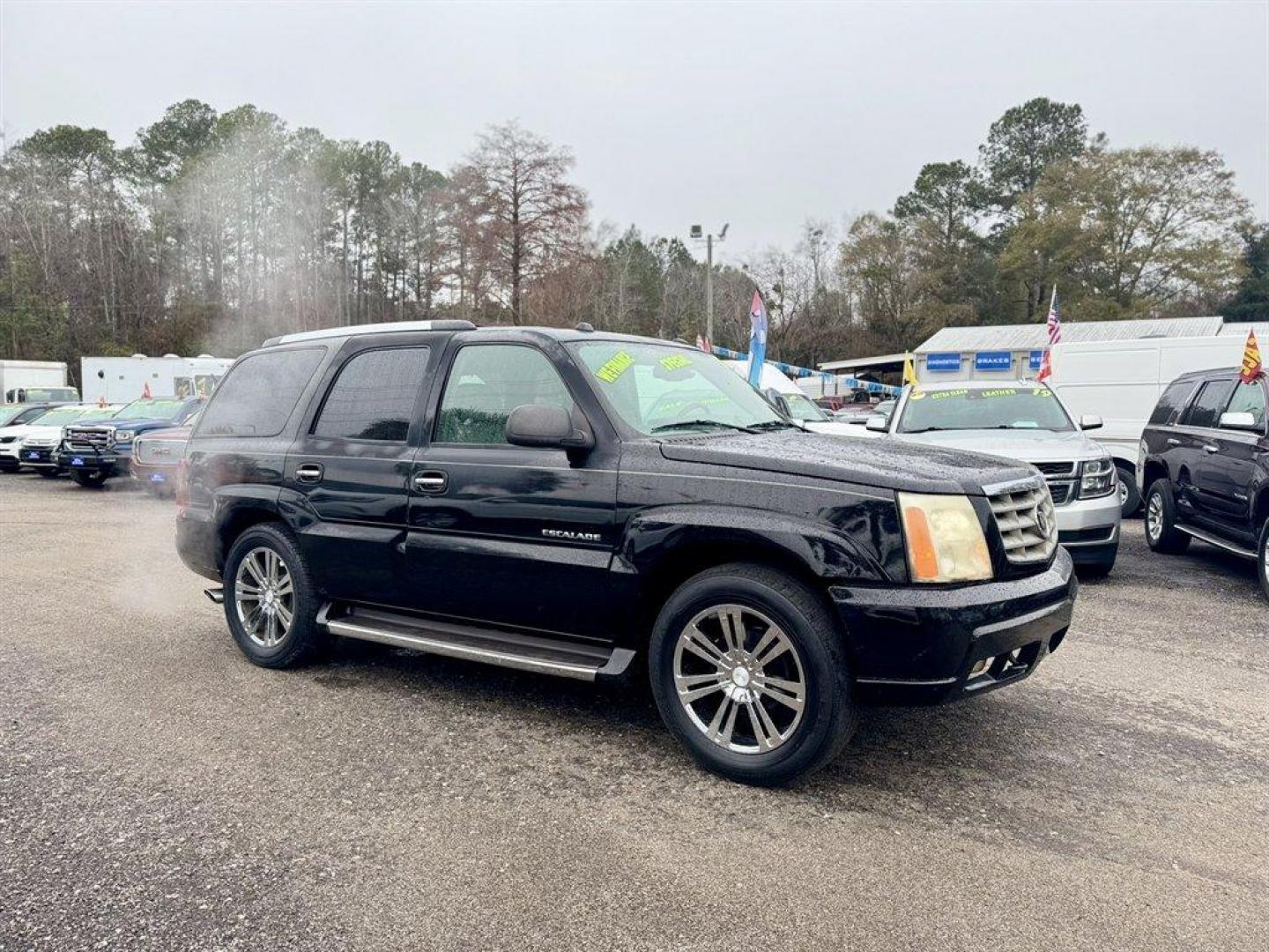 2004 Black /Grey Cadillac Escalade (1GYEC63T04R) with an 5.3l V8 SFI OHV 5.3l engine, Automatic transmission, located at 745 East Steele Rd., West Columbia, SC, 29170, (803) 755-9148, 33.927212, -81.148483 - Photo#2